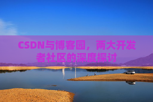 CSDN与博客园，两大开发者社区的深度探讨